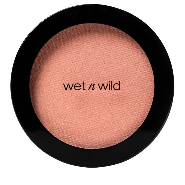 Wet n Wild Color Icon - Ρουζ Pearlescent Pink 3gr