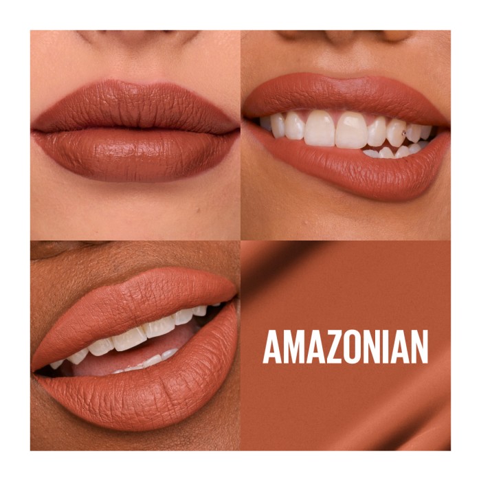 Maybelline Super Stay Matte Ink 70 Amazonian