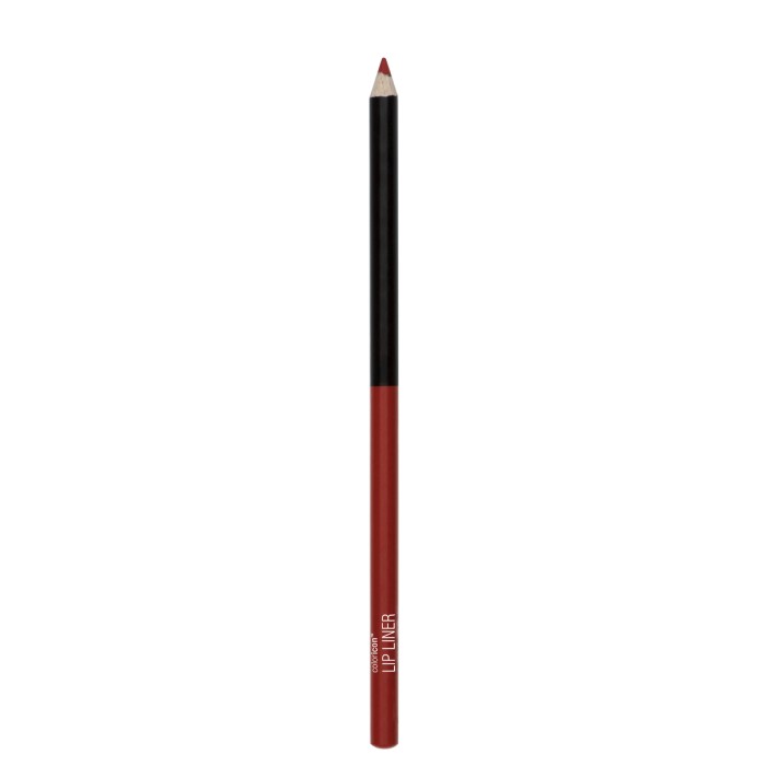 Wet n Wild Color Icon Lipliner Chestnut 1,4gr