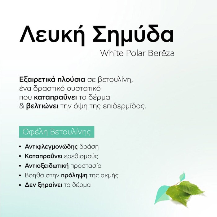 Natura Siberica Τονωτική Λοσιόν Προσώπου Εξισορρόπησης 200ml