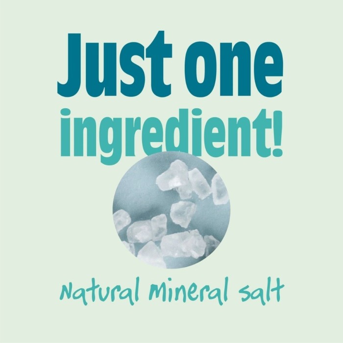 Salt of the Earth Natural Travel Size Αποσμητικός Κρύσταλλος 50g