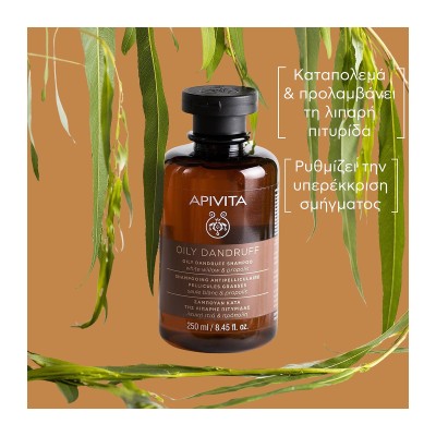 Apivita Anti-Oily Dandruff Shampoo 250ml