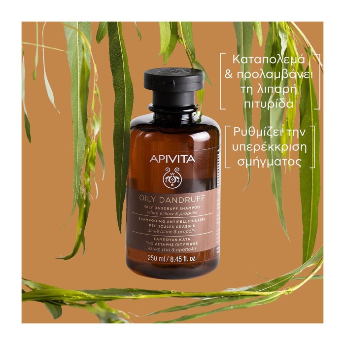 Apivita Anti-Oily Dandruff Shampoo 250ml