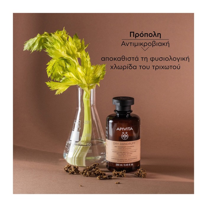 Apivita Eco Pack Dry Dandruff Σαμπουάν Κατά της Ξηροδερμίας 250ml