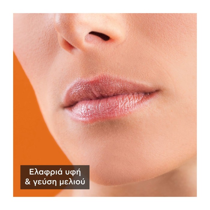 Apivita Bio-Eco Lip Care με Μέλι 4.4gr