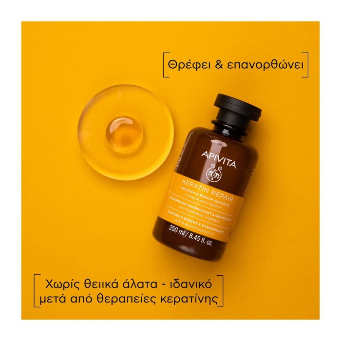 Apivita Σαμπουάν Θρέψης και Επανόρθωσης για Ξηρά Μαλλιά 250ml