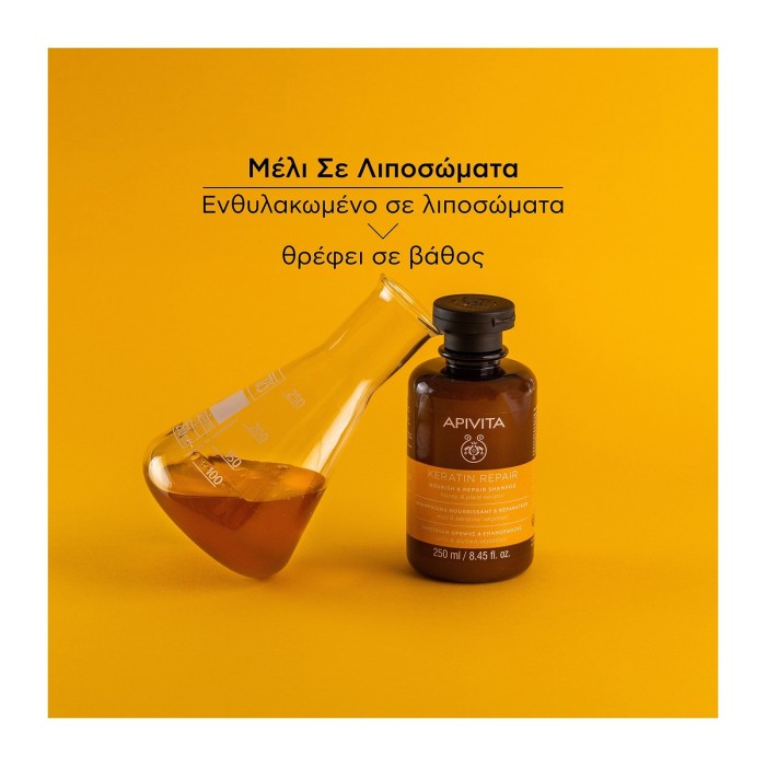 Apivita Σαμπουάν Θρέψης και Επανόρθωσης για Ξηρά Μαλλιά 250ml