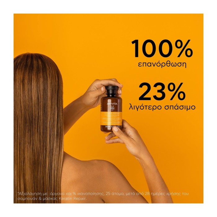 Apivita Σαμπουάν Θρέψης και Επανόρθωσης για Ξηρά Μαλλιά 250ml