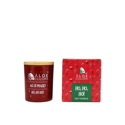 Aloe Colors Ho Ho Ho Αρωματικό Κερί Σόγιας 150gr